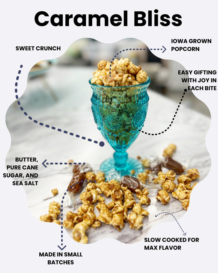 Salt Lovers Popcorn Bundle - Popcorn with Sea Salt Caramel, Better Cheddar,  Dilly Dill, and the Salty Dog