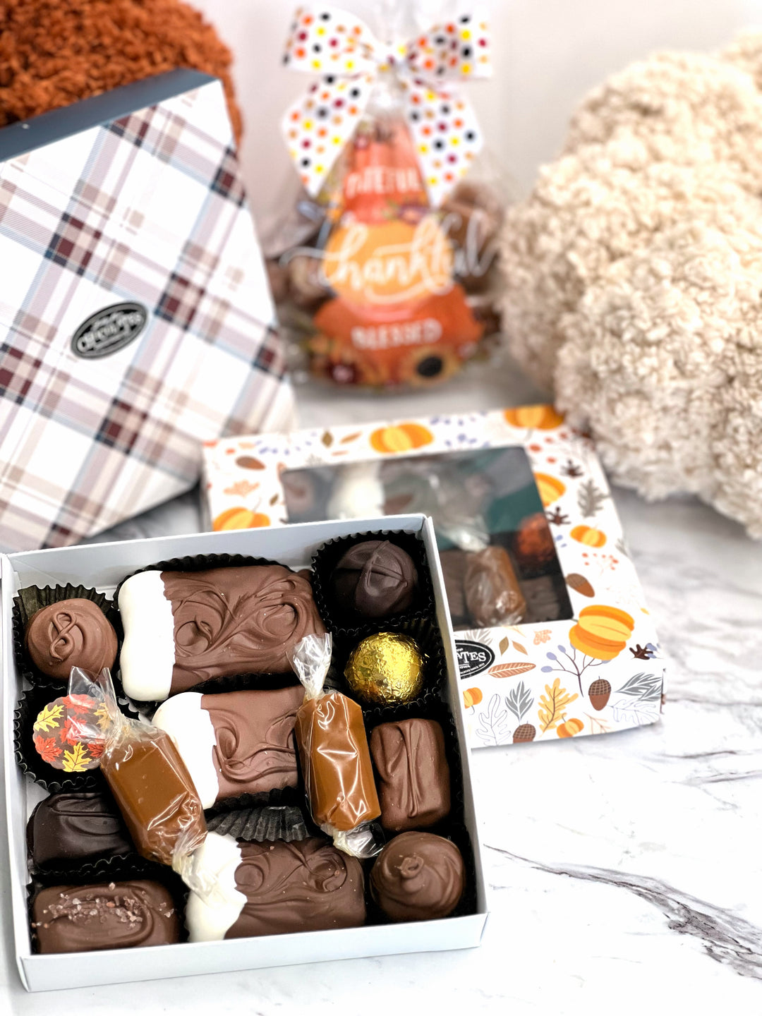 Fun harvest theme box showing pumpkins and leaves in bright cheerful colors. Medium deluxe assortment box with all of your favorites in this cute fall gift box including a soft center creams, truffles, sea salt caramels, chocolate covered caramels and wrapped caramel!